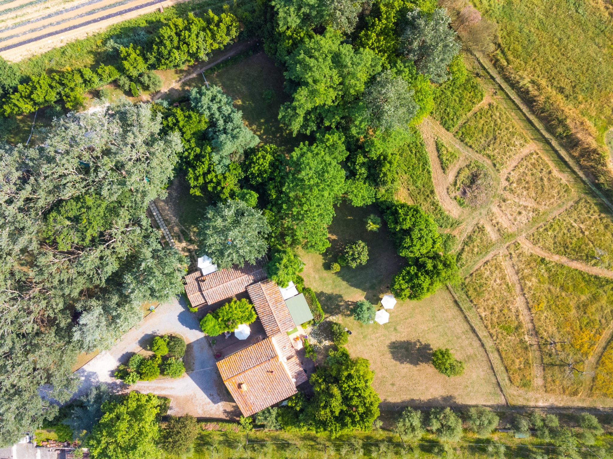 Il Podere-Outside
