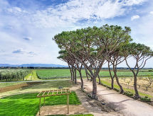 Gerenoveerd Toscaans cottage met gedeelde tuin, vlakbij zee en Bolgheri - thumbnail 2