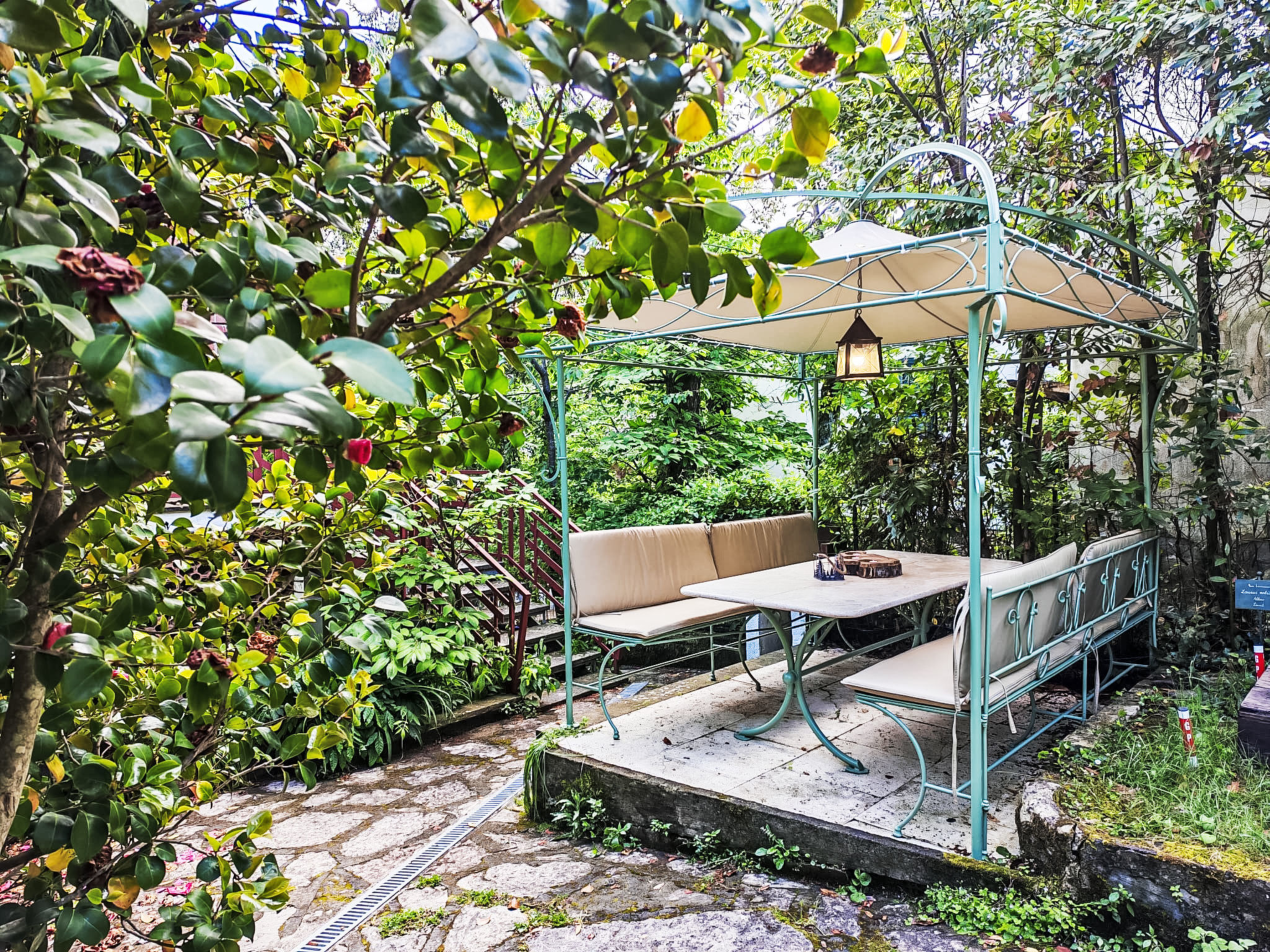 Wohnung 'Pink Holly' mit Terrasse - Draußen