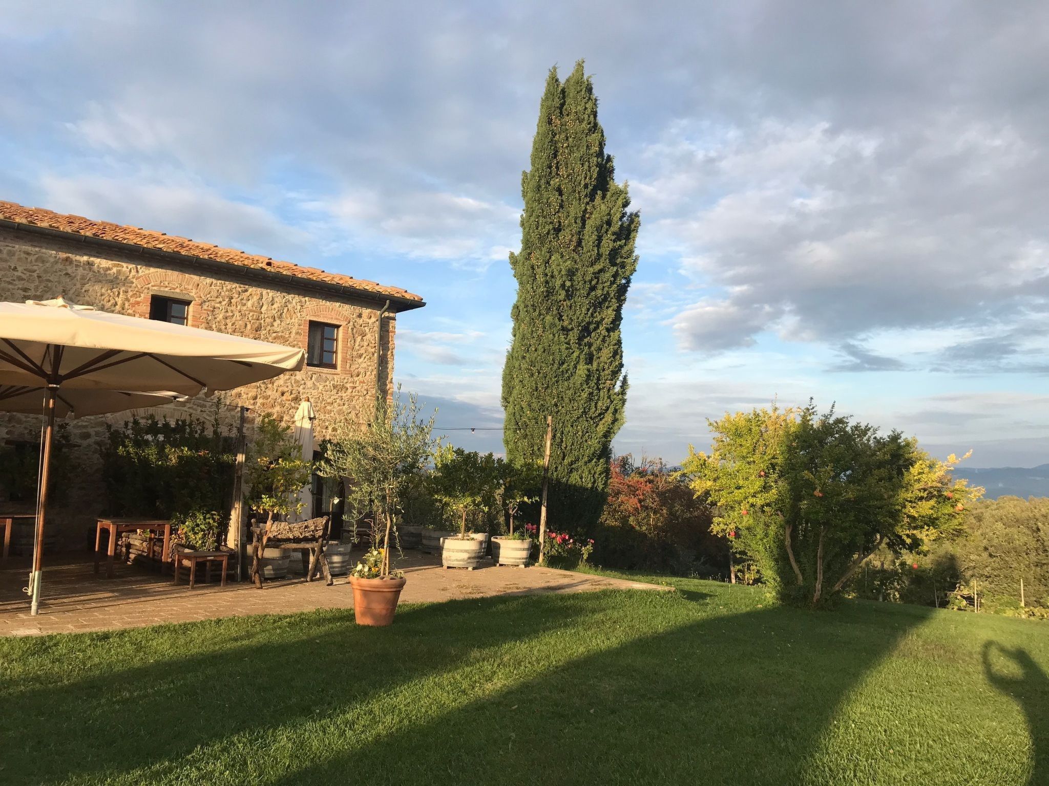 Wohnung mit Terrasse-Dedans