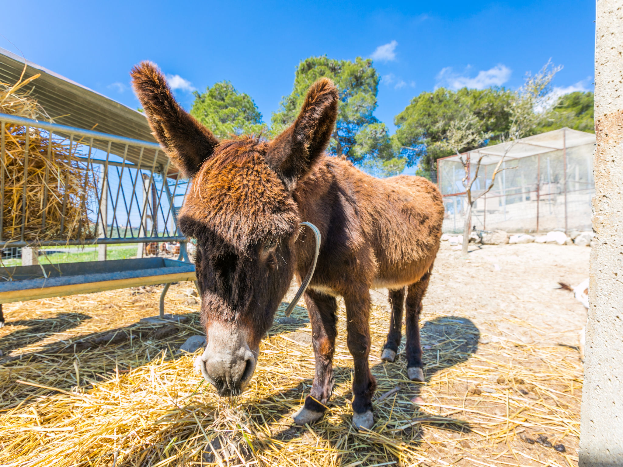 Ferme Il Fienile – Extérieur, photo 72 sur 86