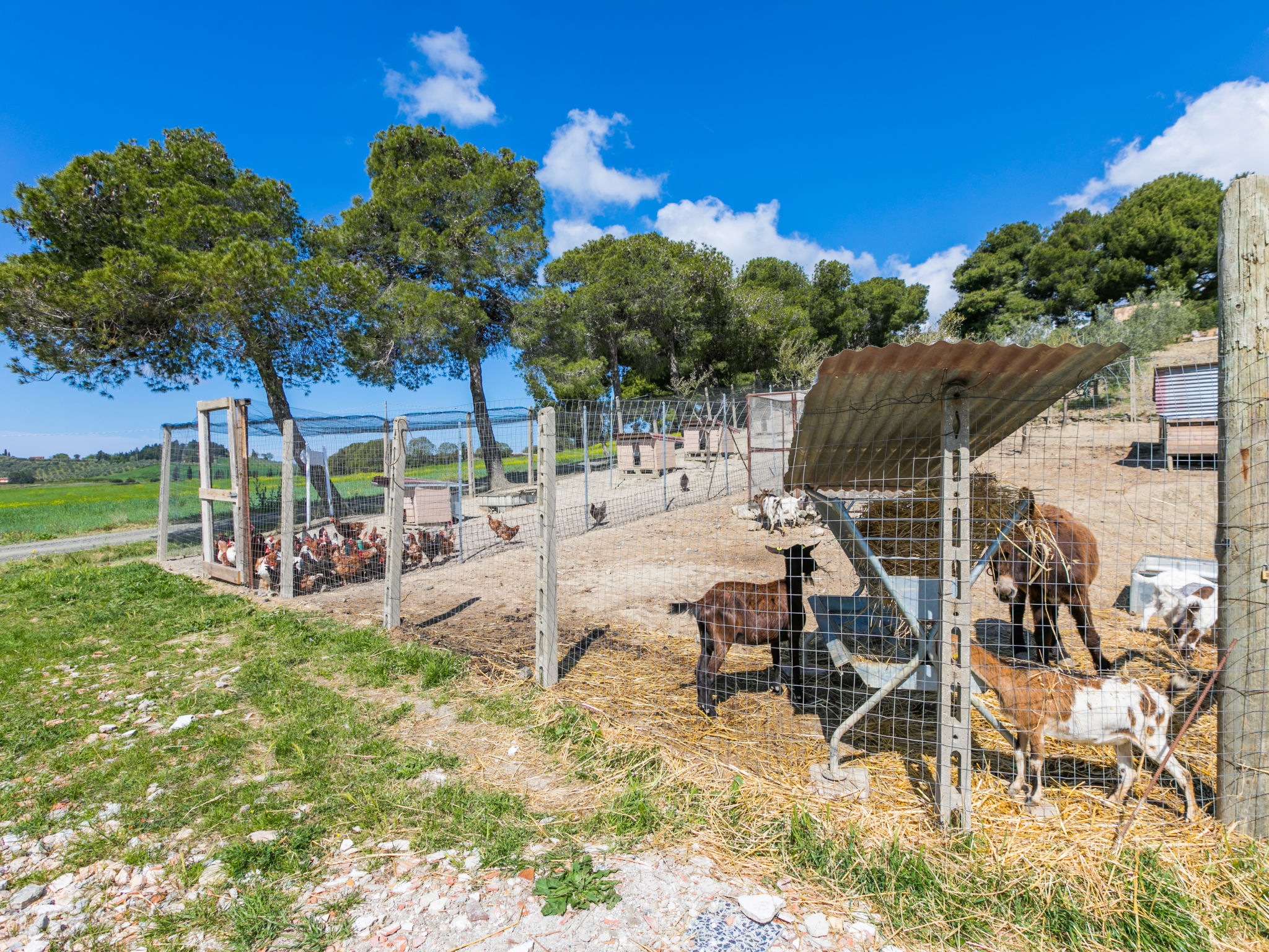 Ferme Il Fienile – Extérieur, photo 70 sur 86