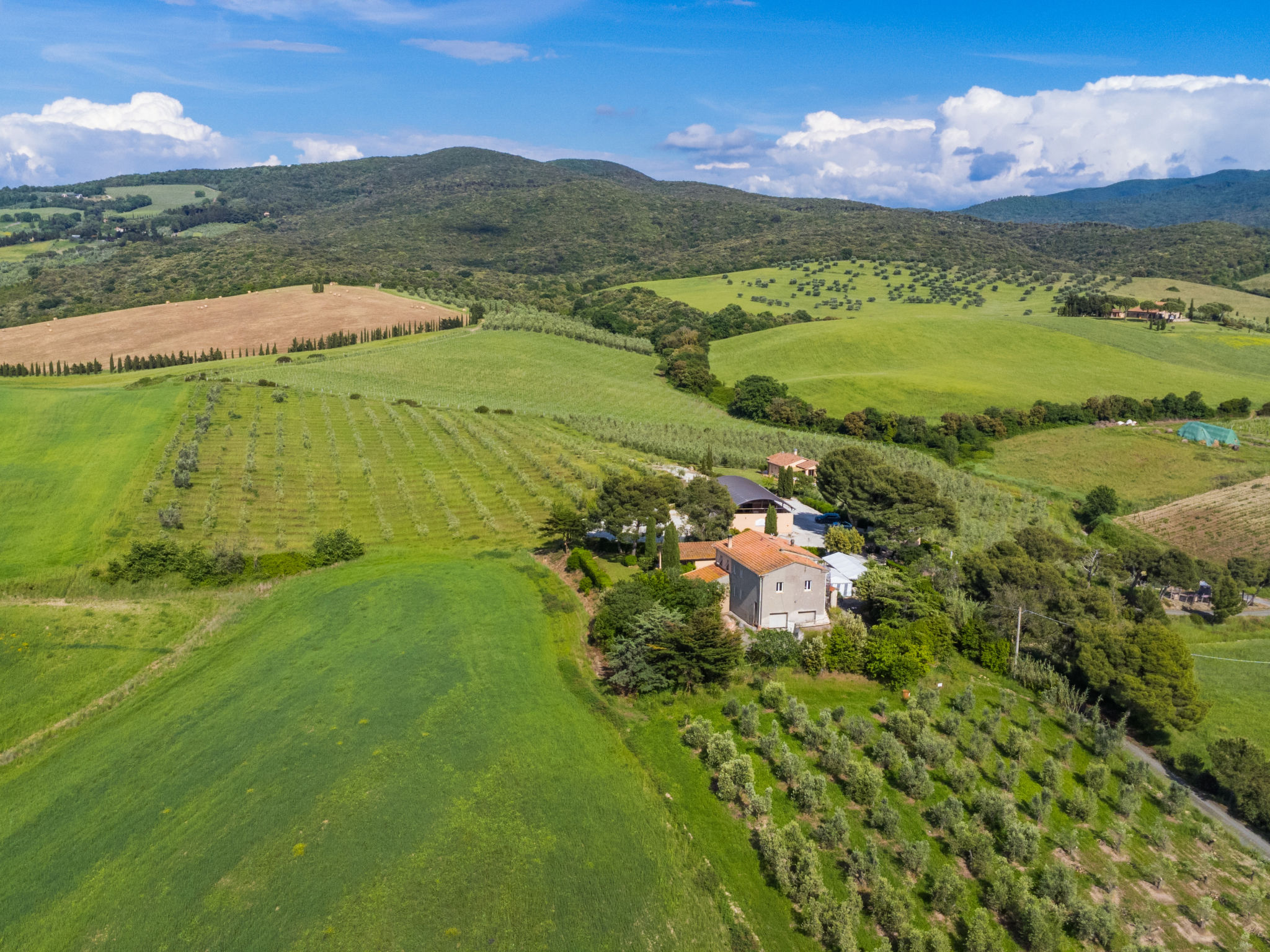 La Carraia-Dehors