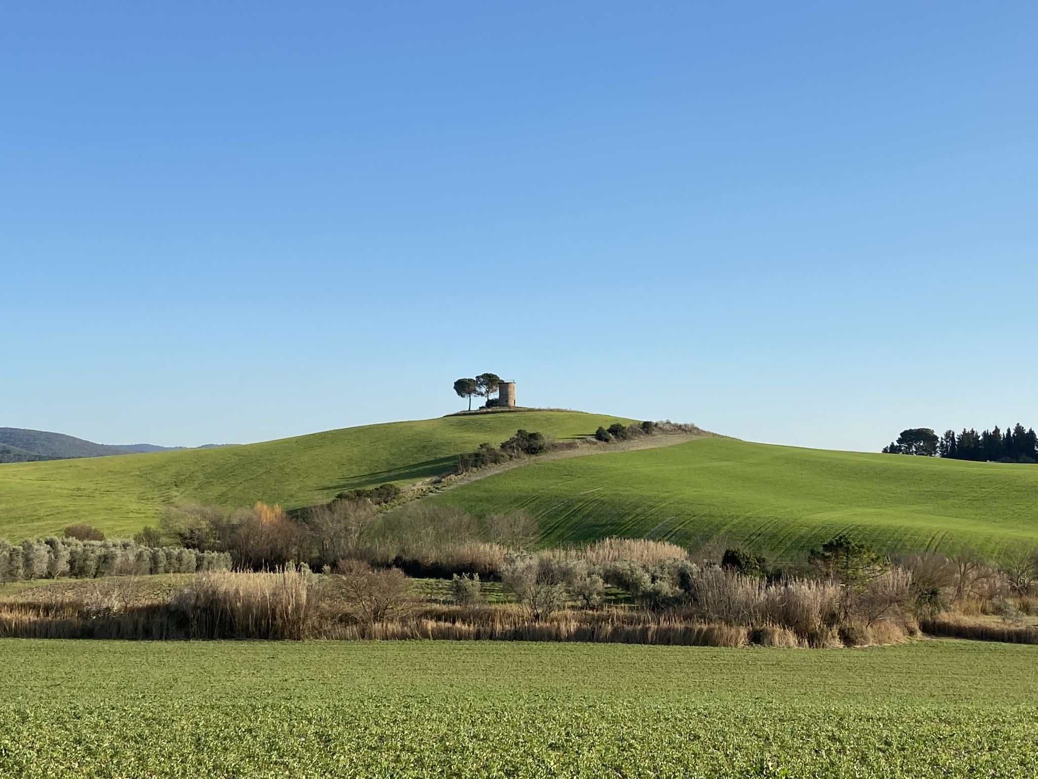 Ferme La Carraia – Environs, photo 68 sur 69