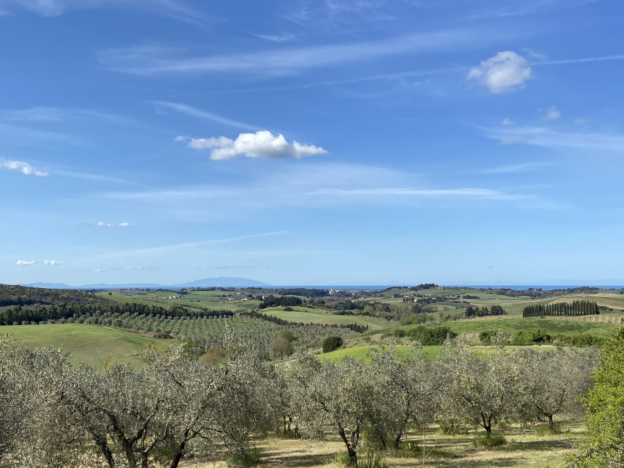 Ferme La Carraia – Environs, photo 67 sur 69