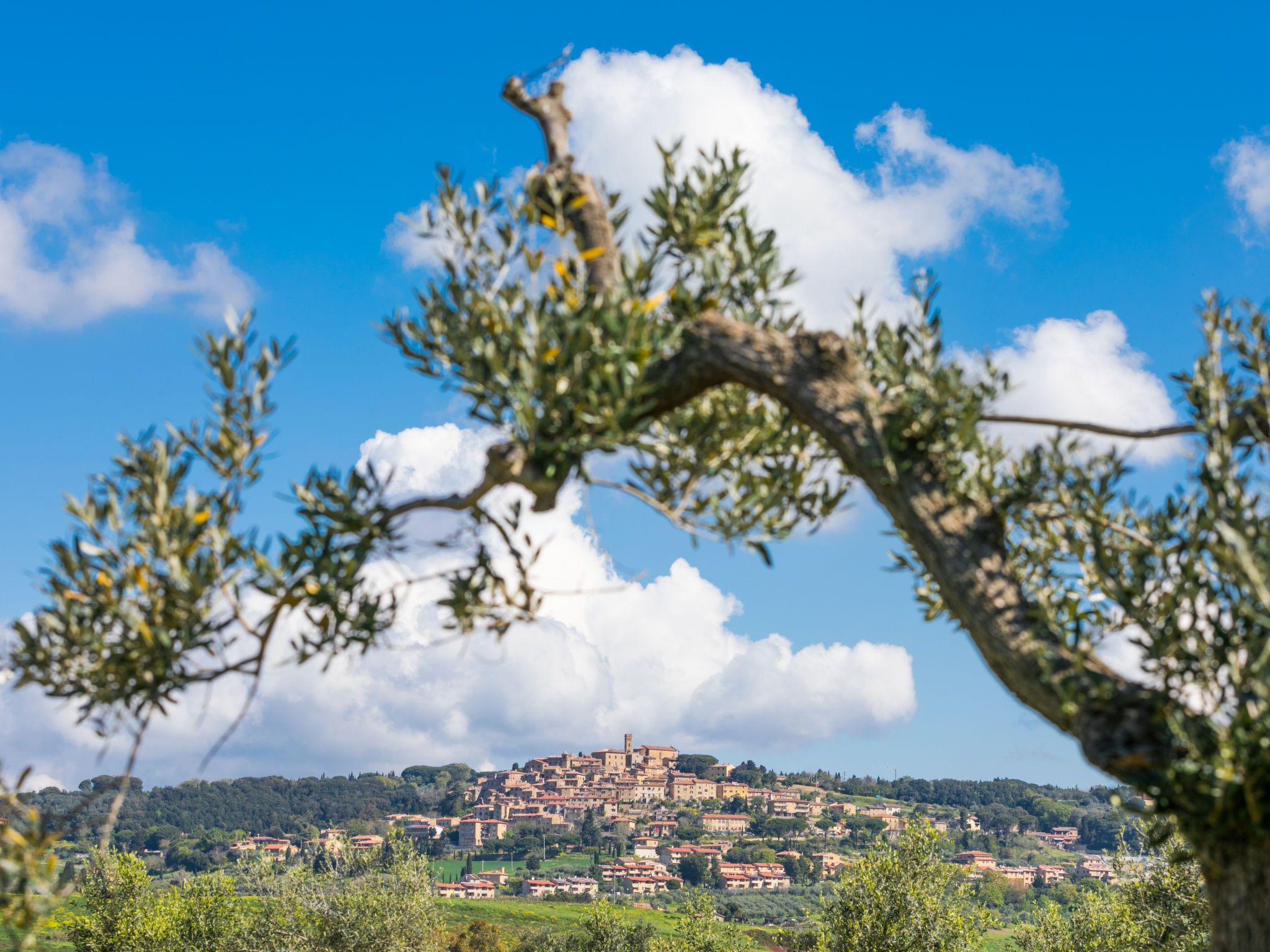 Ferme La Carraia – Vue, photo 48 sur 69