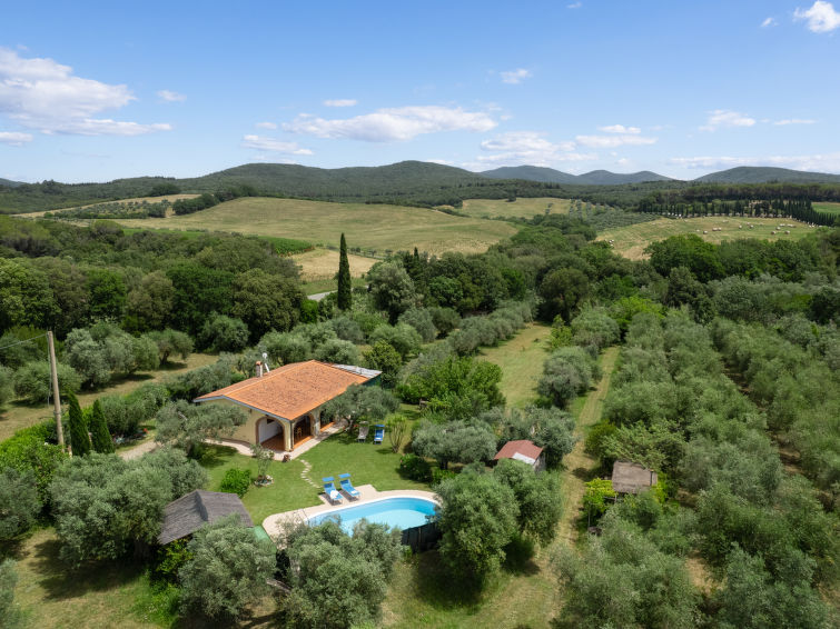 Bouganville in Bibbona