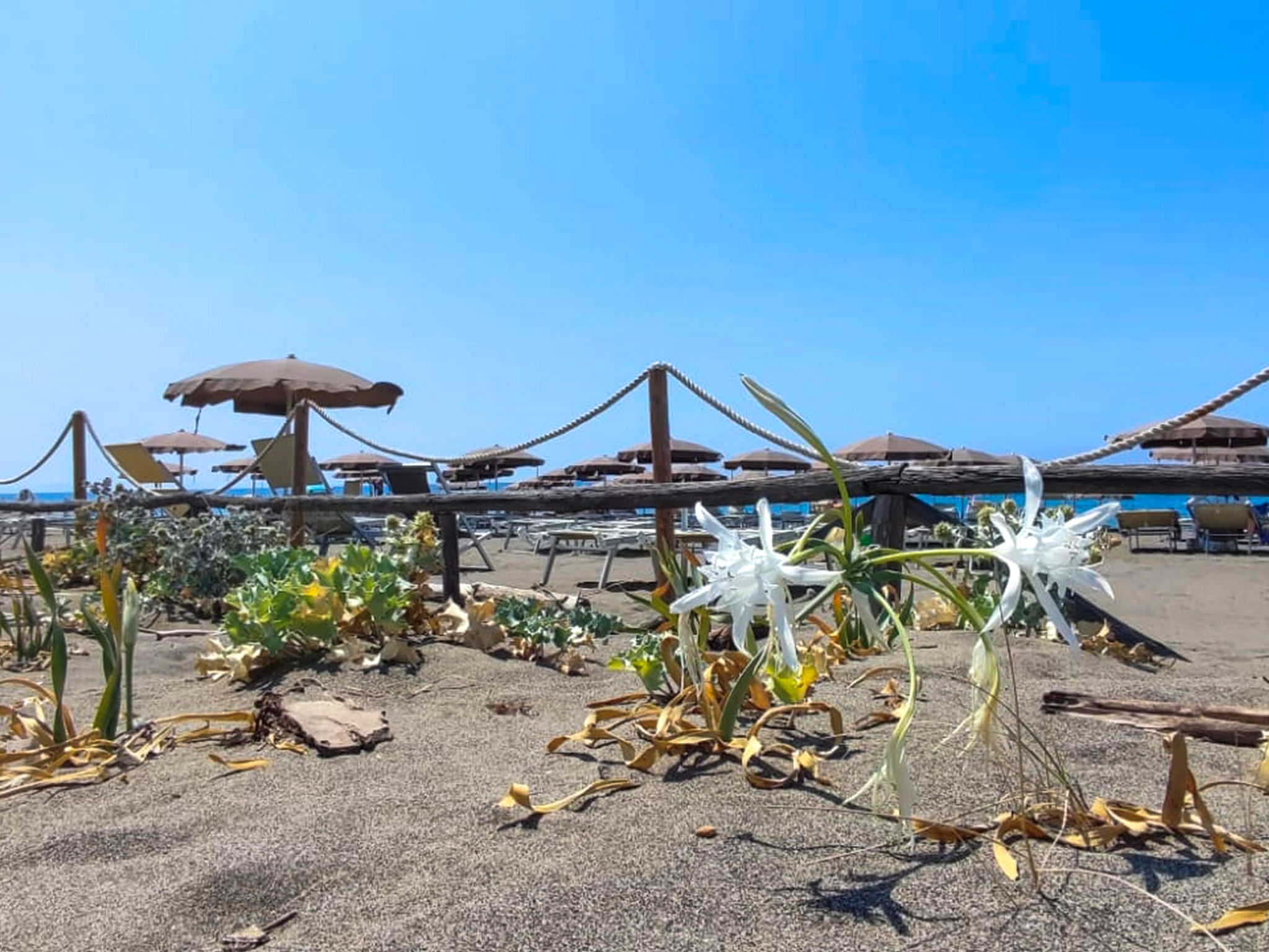 Photo of Campeggio del Forte