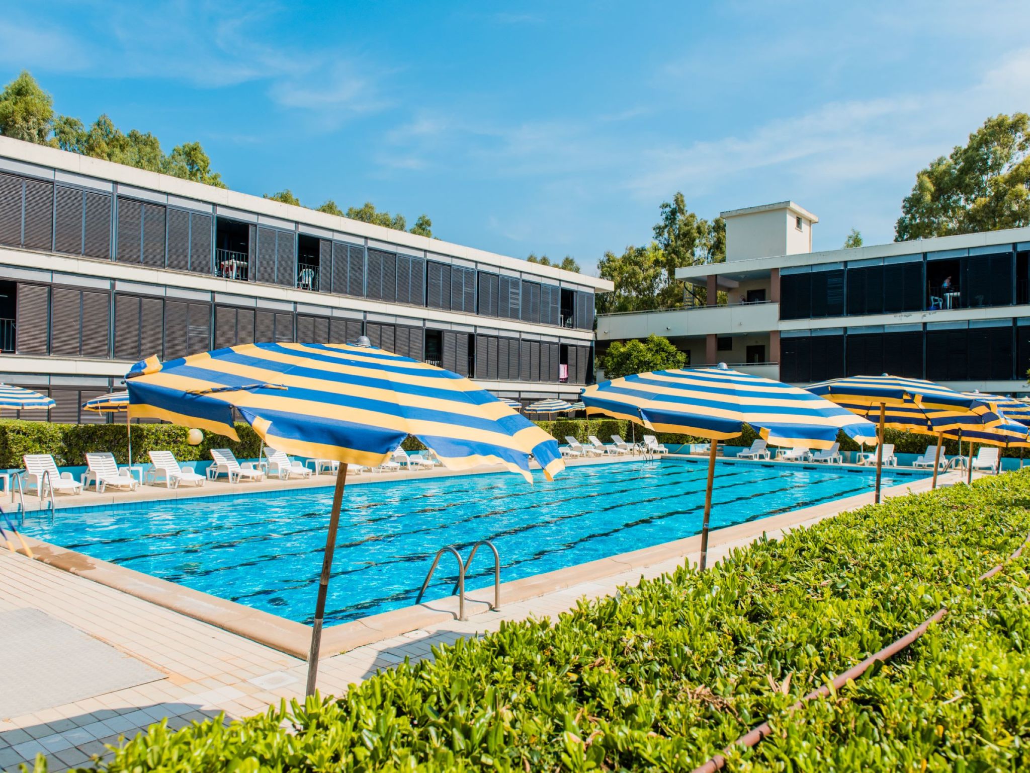 Bilo Standard Apartment in Marina di Bibbona