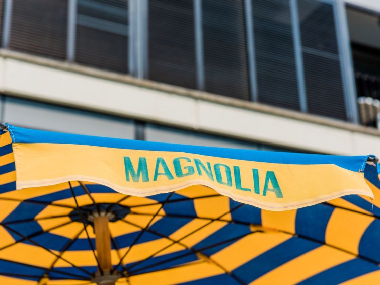 Photo of Magnolia