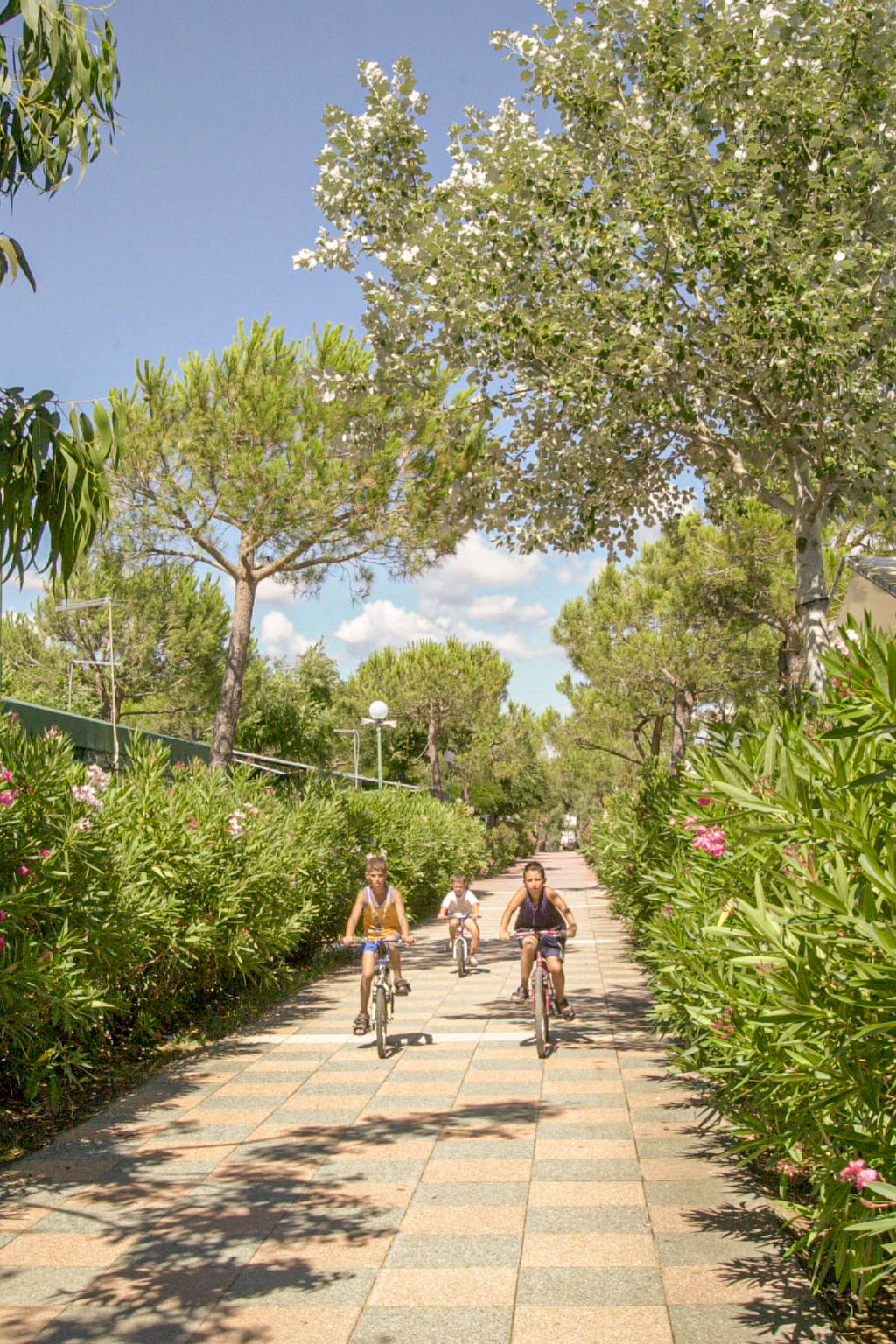 Photo of Camping Free Beach