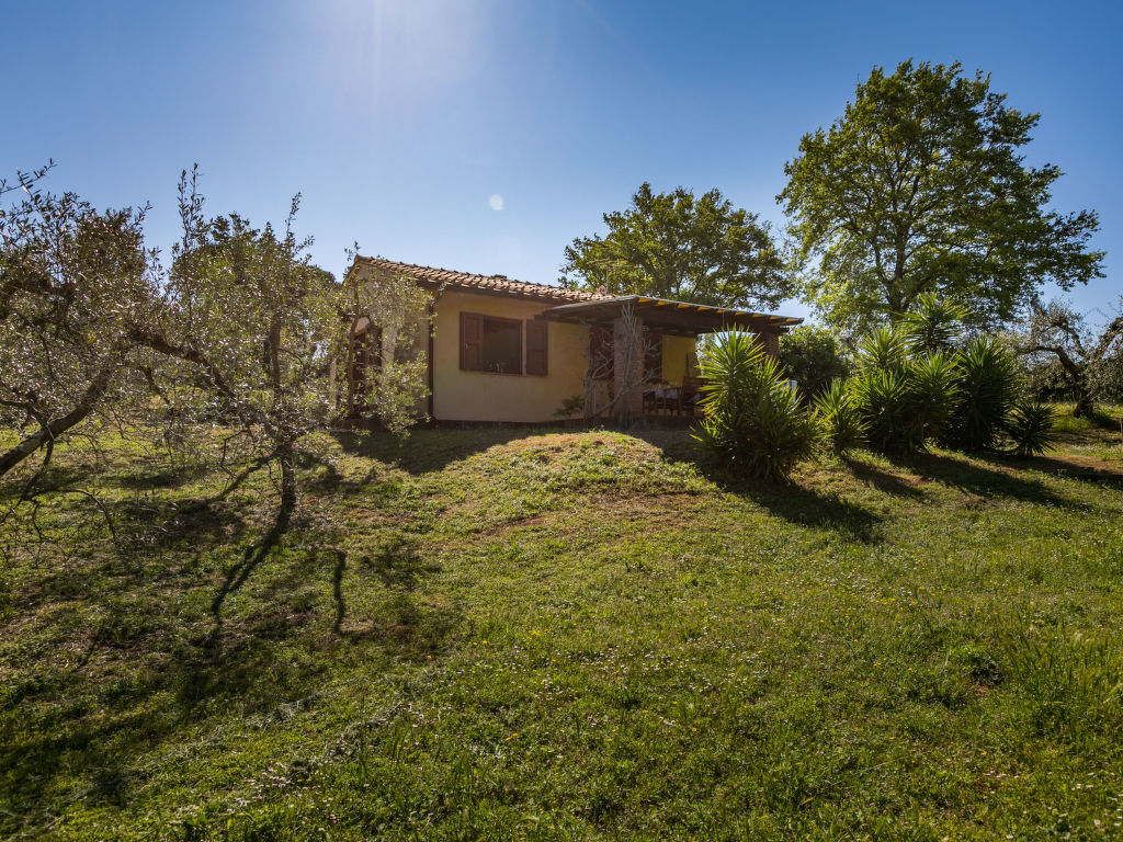 Bild 16
