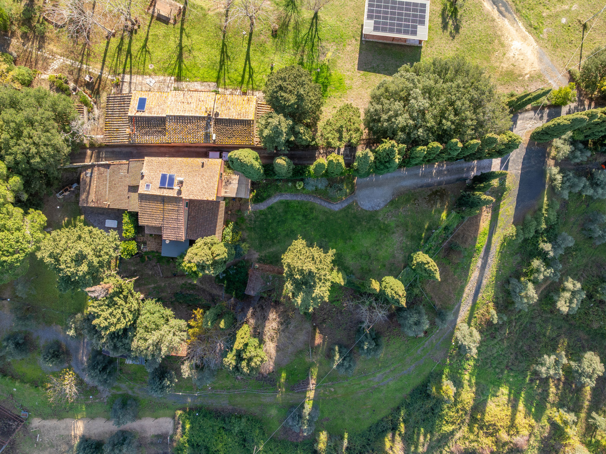 Photo of Il sogno del pittore