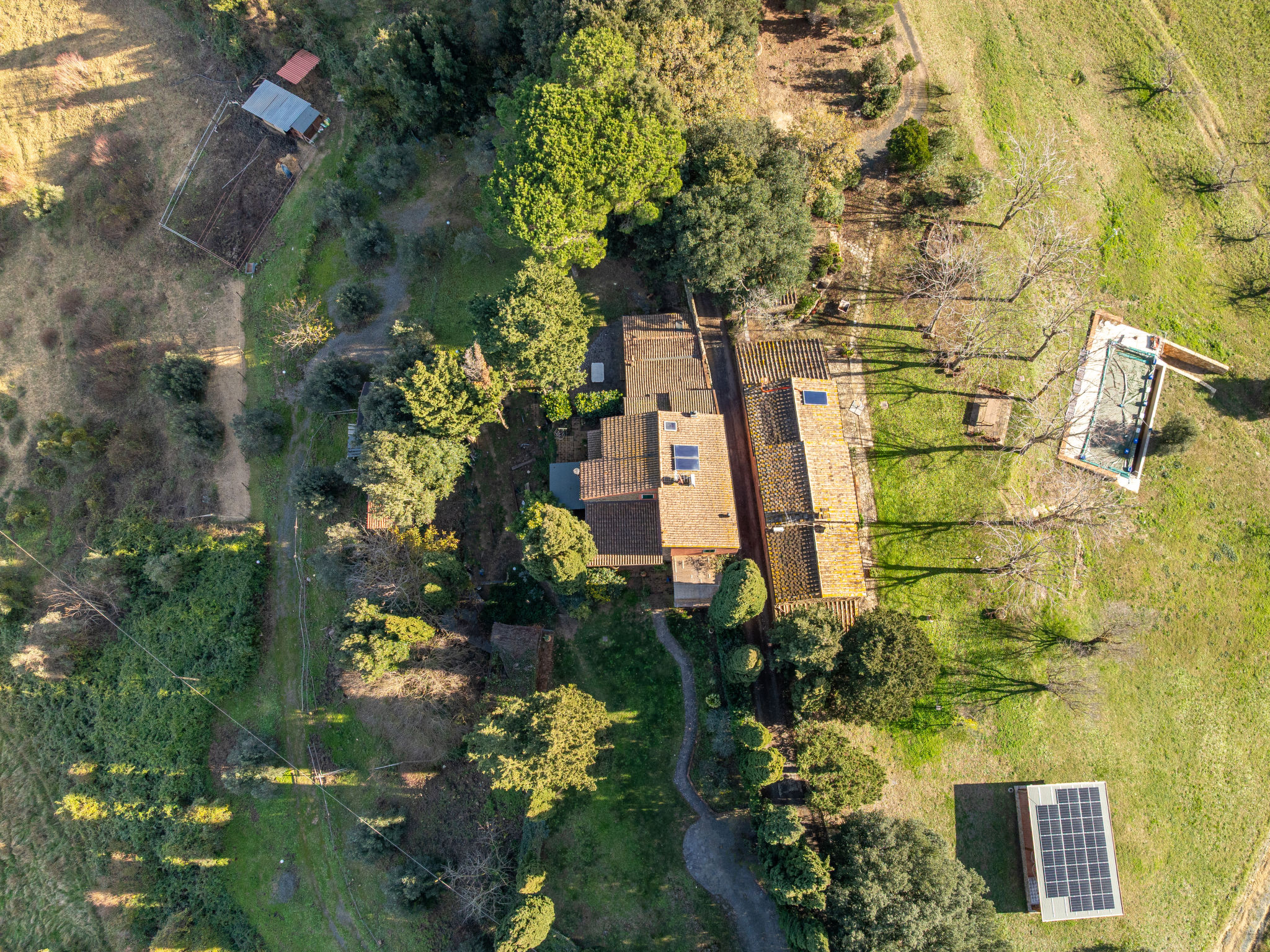 Photo of Il sogno del pittore