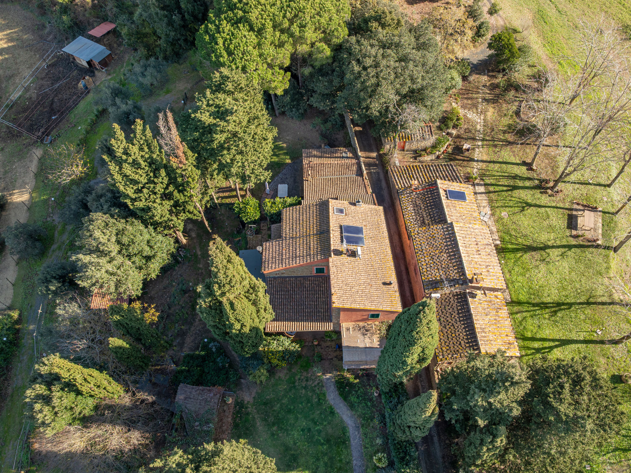 Photo of Il sogno del pittore