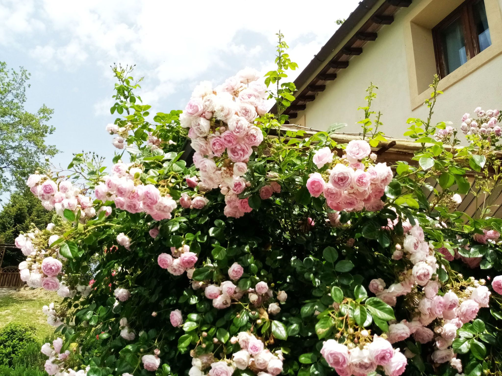 Villa im Grünen Civico 2 in Uzzano-Binnen