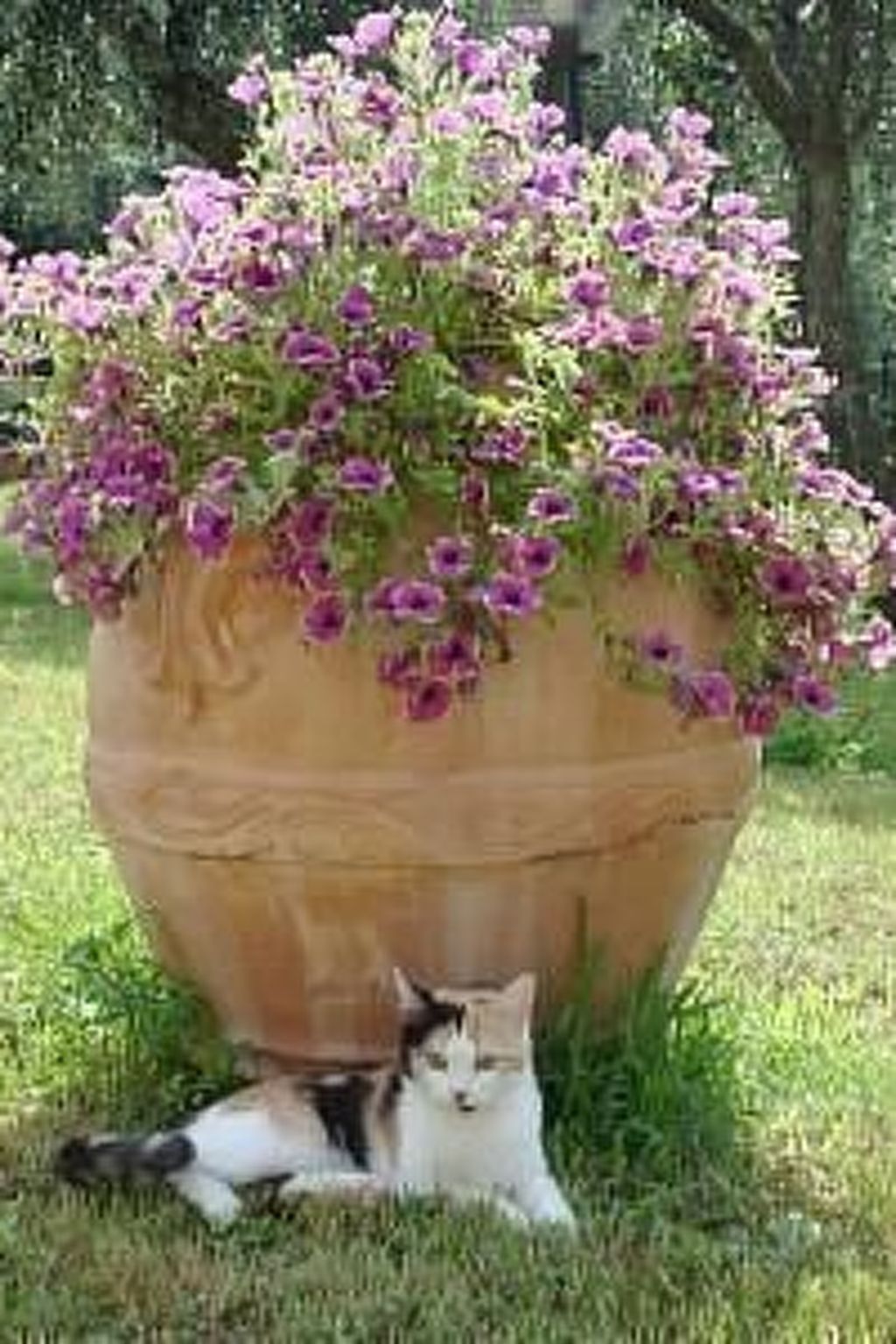 Die Scheune von Penelope-Binnen