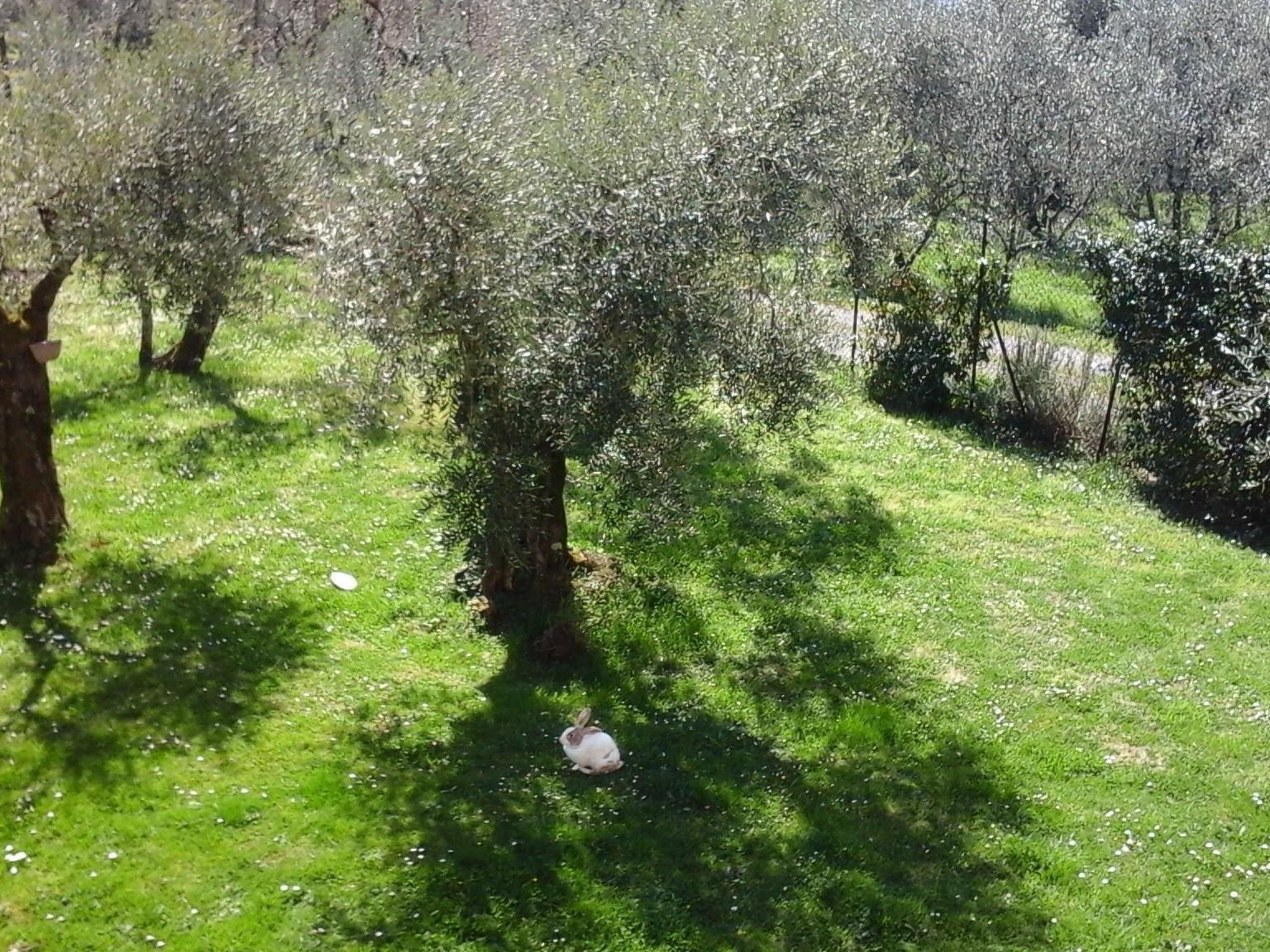 Die Scheune von Penelope-Binnen