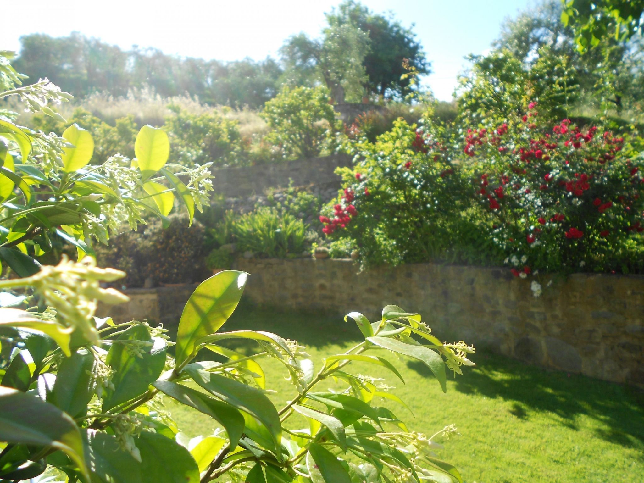 Anwesen "Il Campano" mit Whirlpool-Dedans