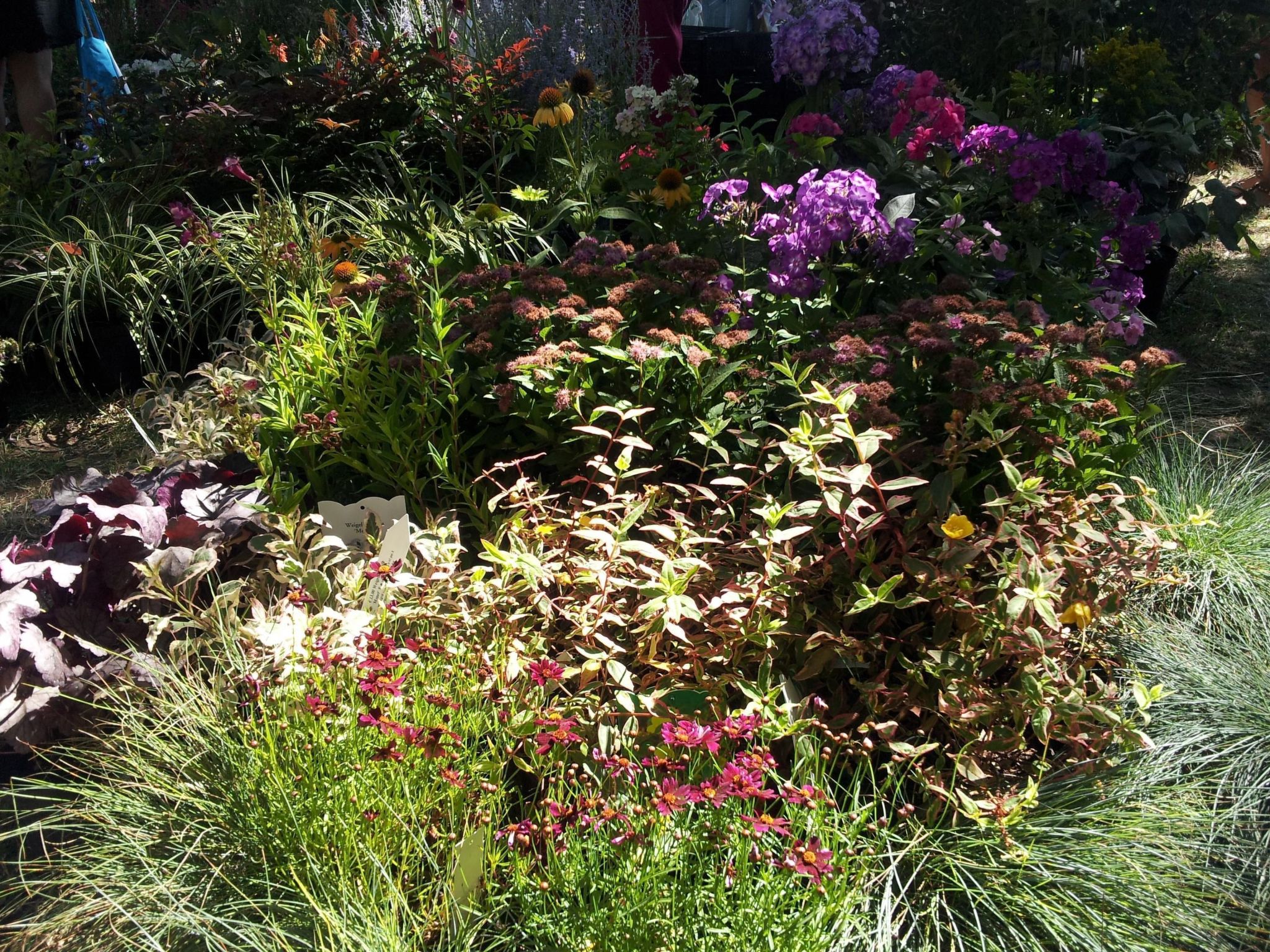 Anwesen "Il Campano" mit Whirlpool-Dedans