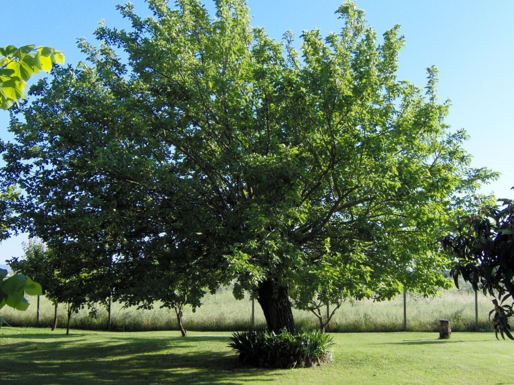 Wohnung in Cascina mit Privatparkplatz-Dehors