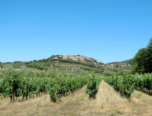 Casa di vacanze Podere il Pezzo