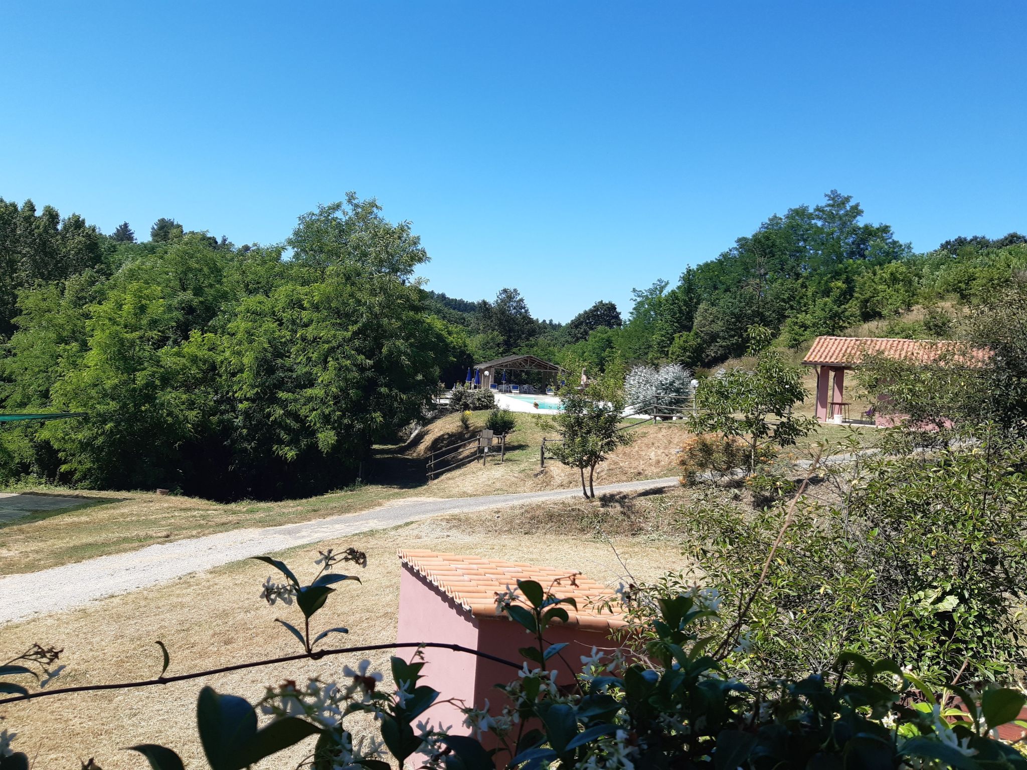 Girasole Haus mit Pool in Fauglia-Inside
