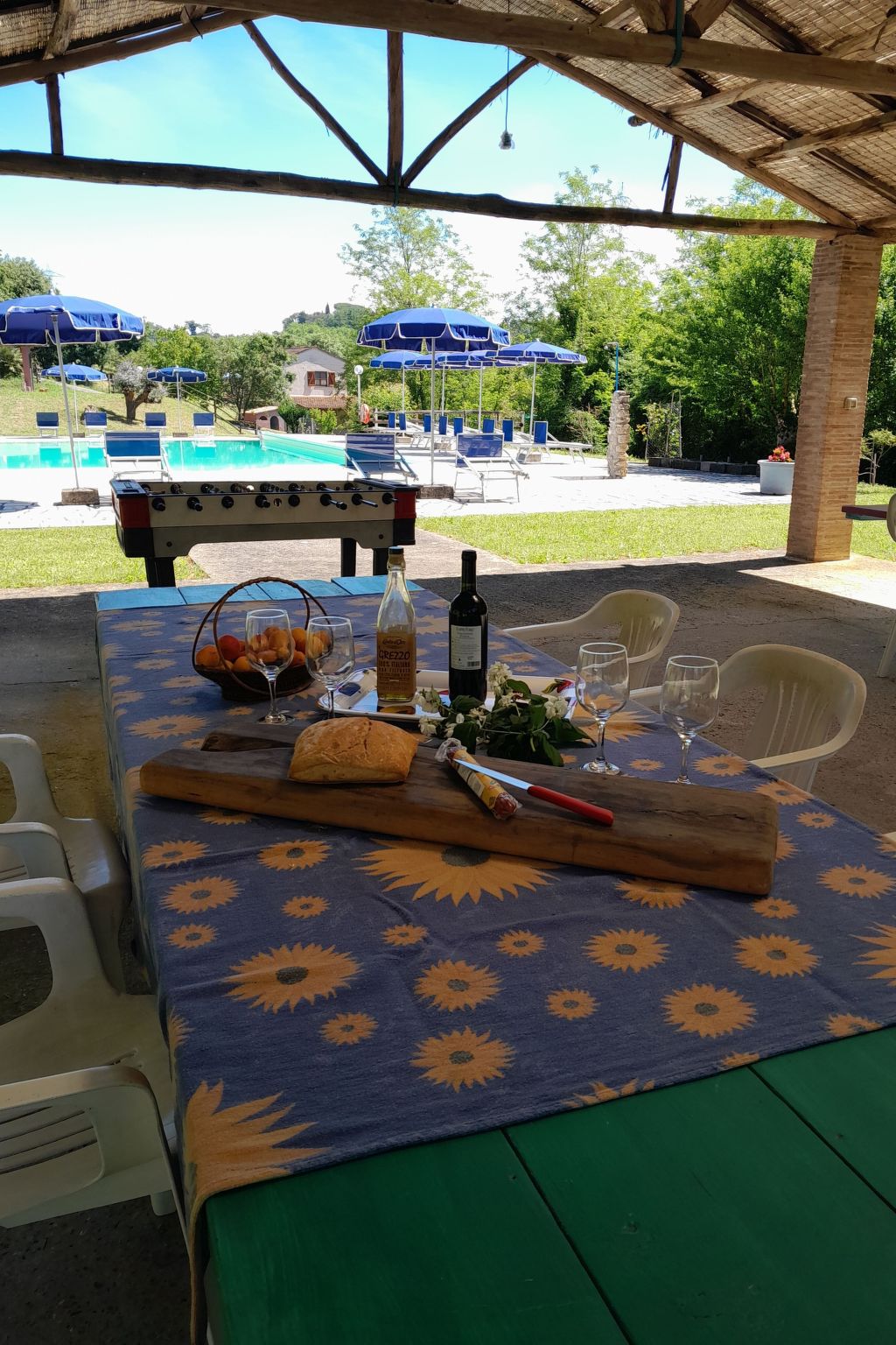 Vakantiehuis met omheinde tuin in Fauglia (Italië) 1 hond is welkom