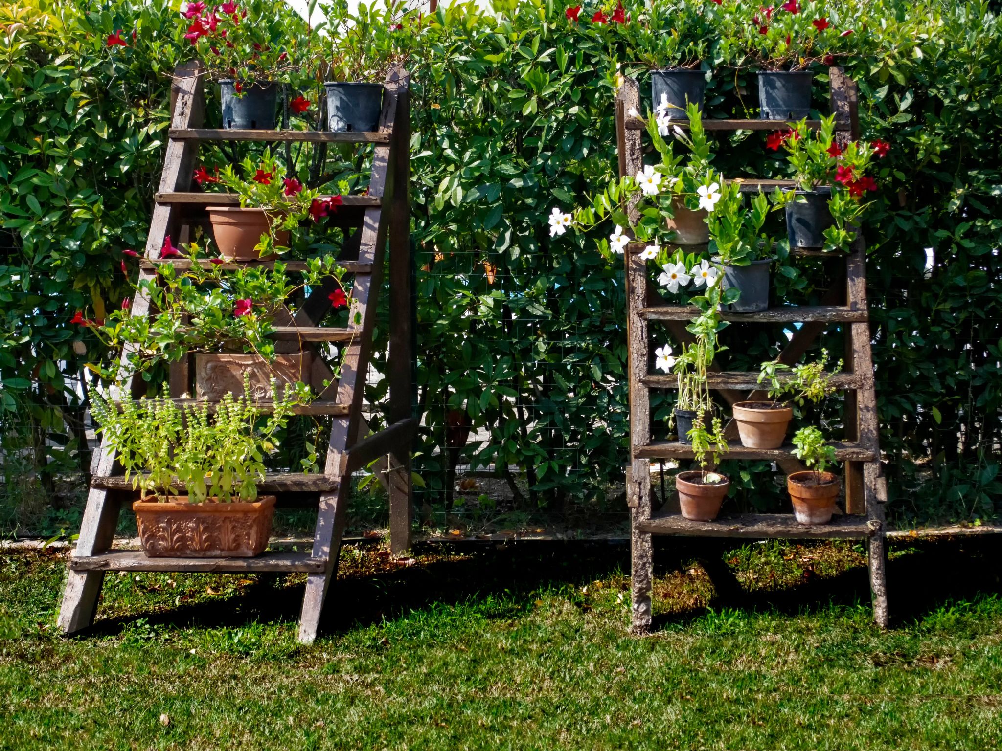 Rustikale Wohnung mit Swimmingpool in den Hügeln der Toskana-Binnen