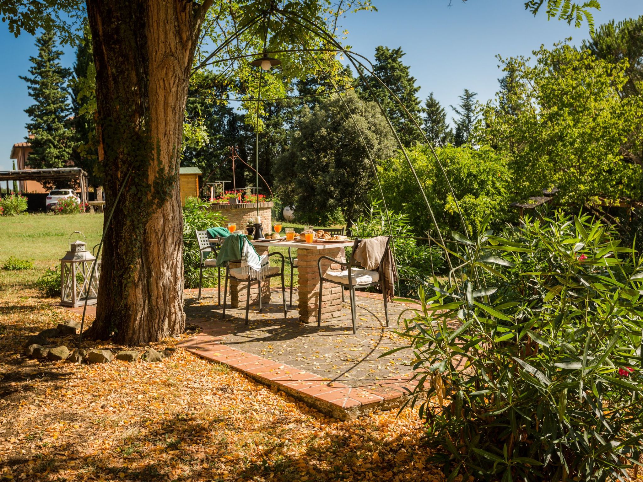 'Margherita canale-Image-tags.info