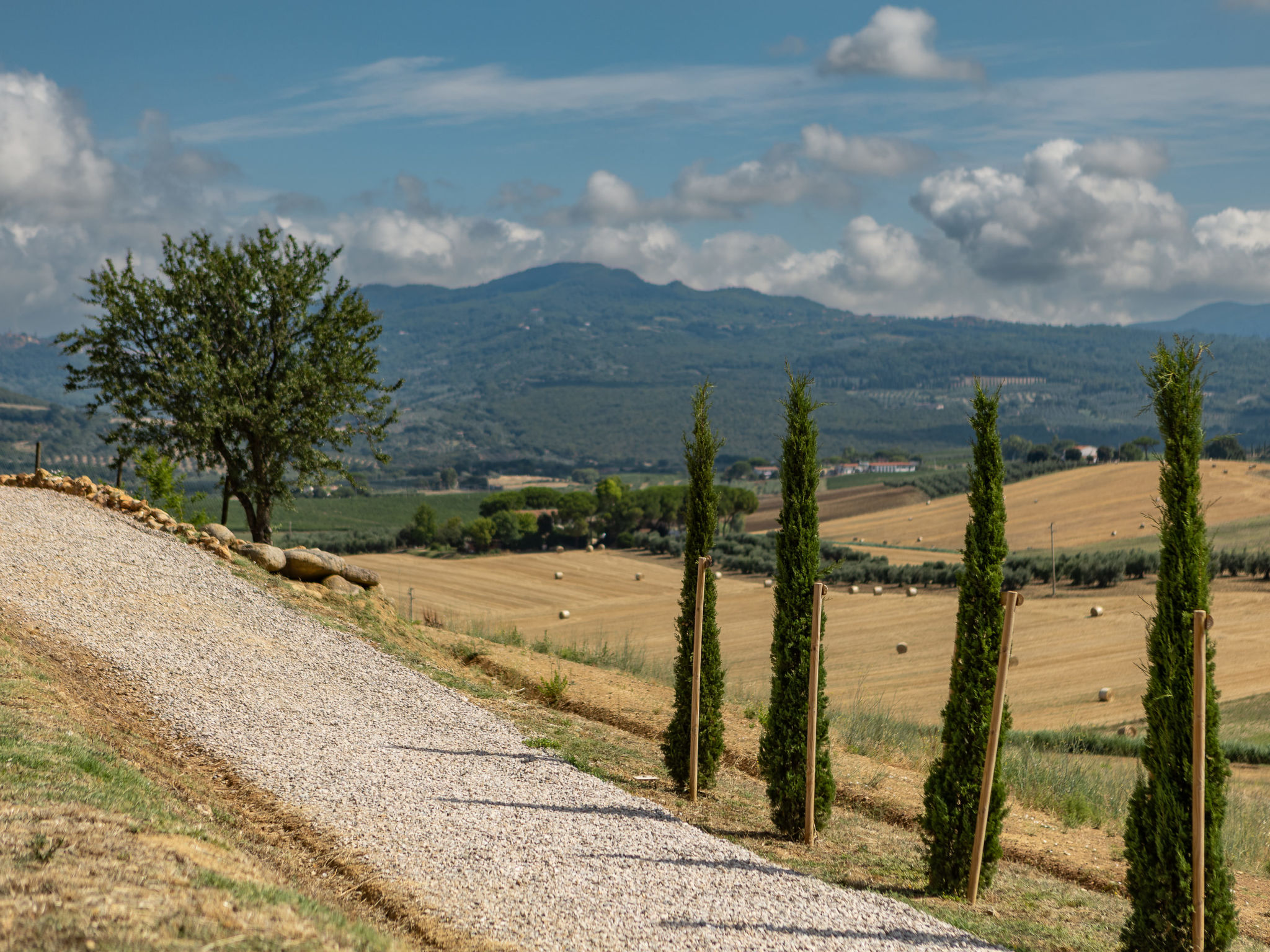Poggio Piero 1-Dehors