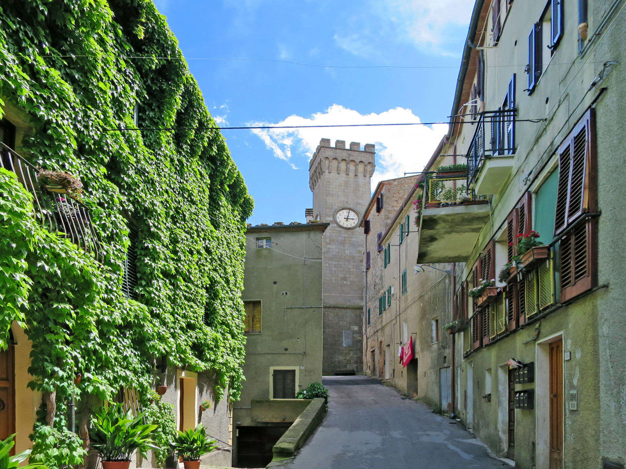 Corbezzolo - Omgeving