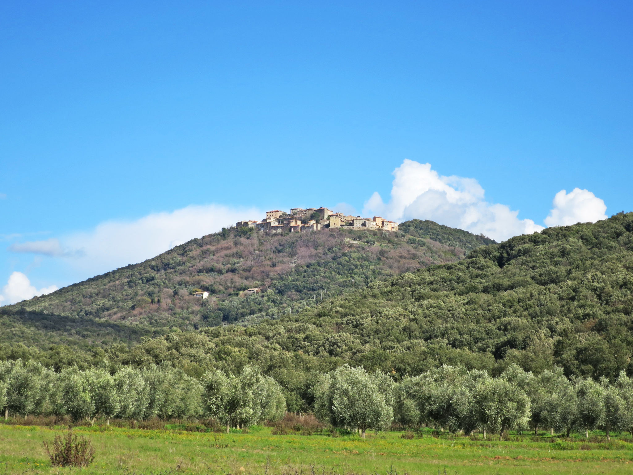 Corbezzolo - Omgeving