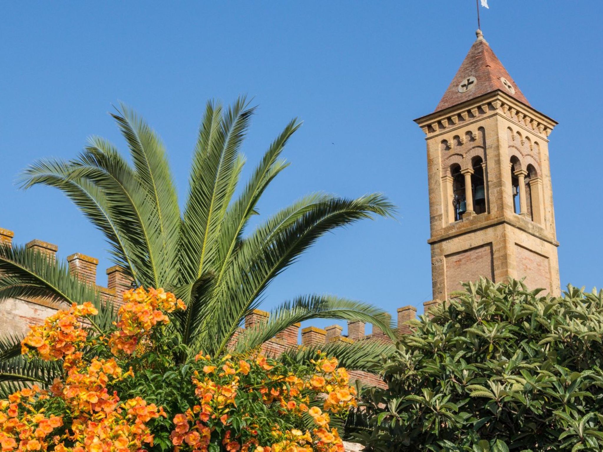 Casale Bolgherese - Image 4