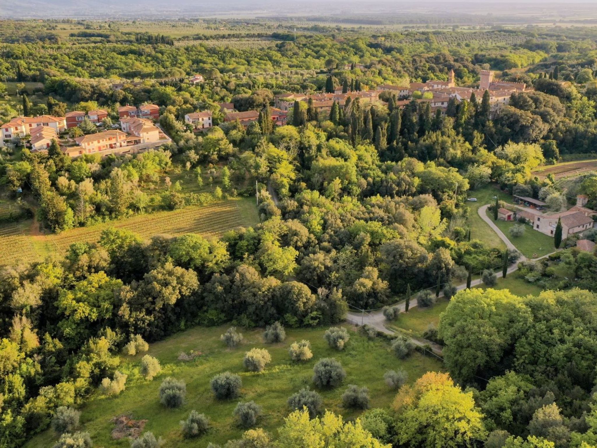 Casale Bolgherese - Image 5