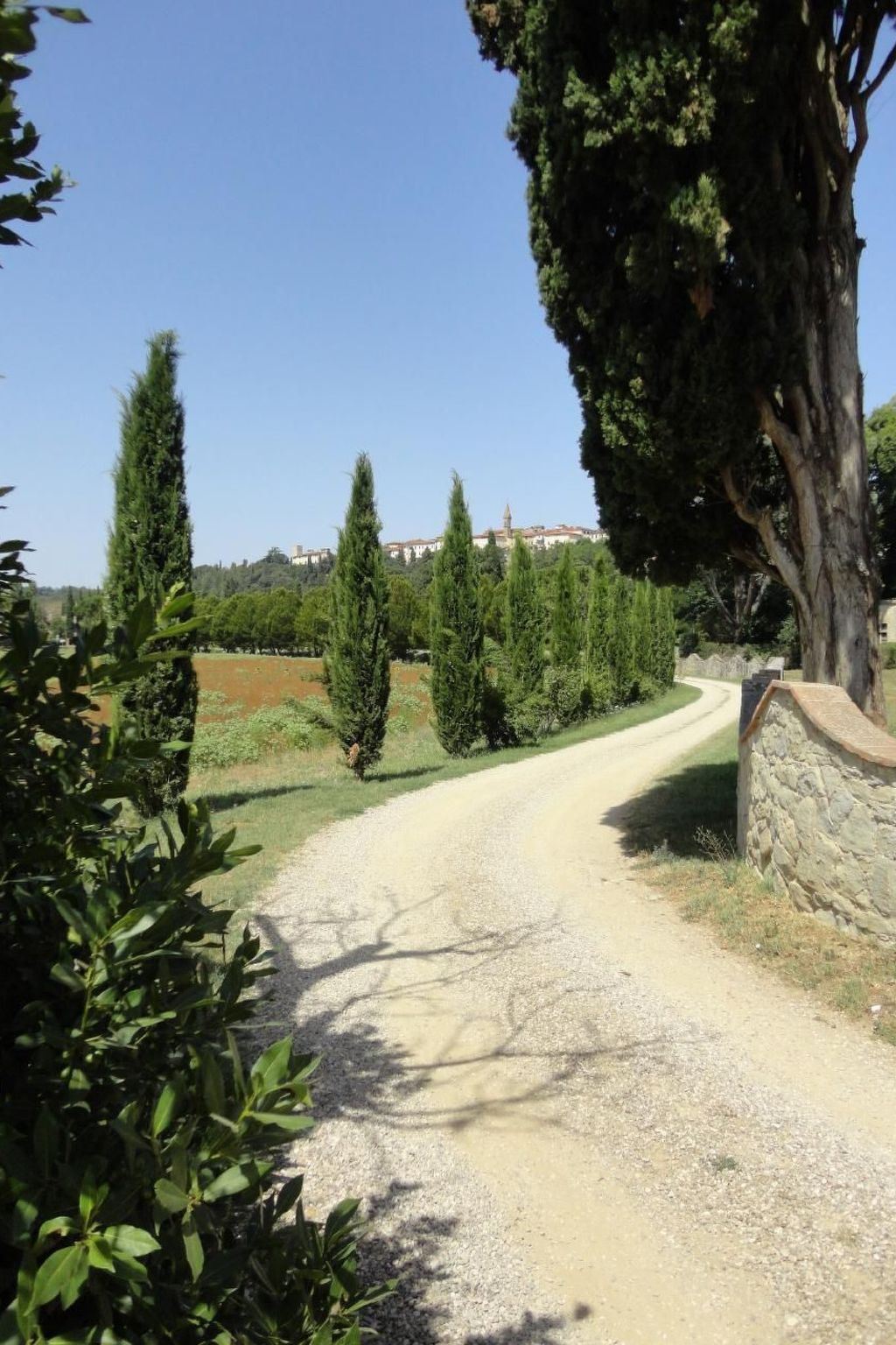 Behindertengerechtes Drei-Zimmer-Appartement, Typ E-Binnen