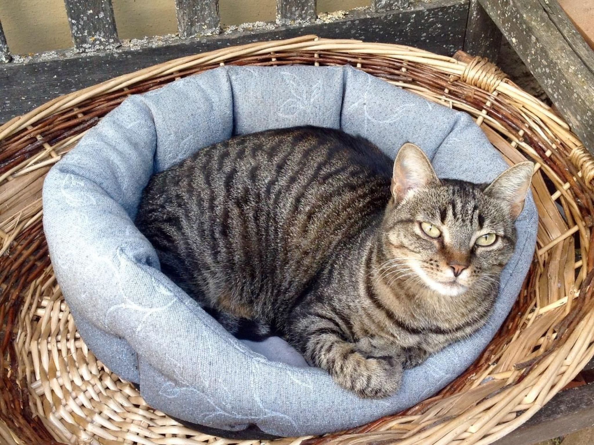 Behindertengerechtes Drei-Zimmer-Appartement, Typ E-Binnen