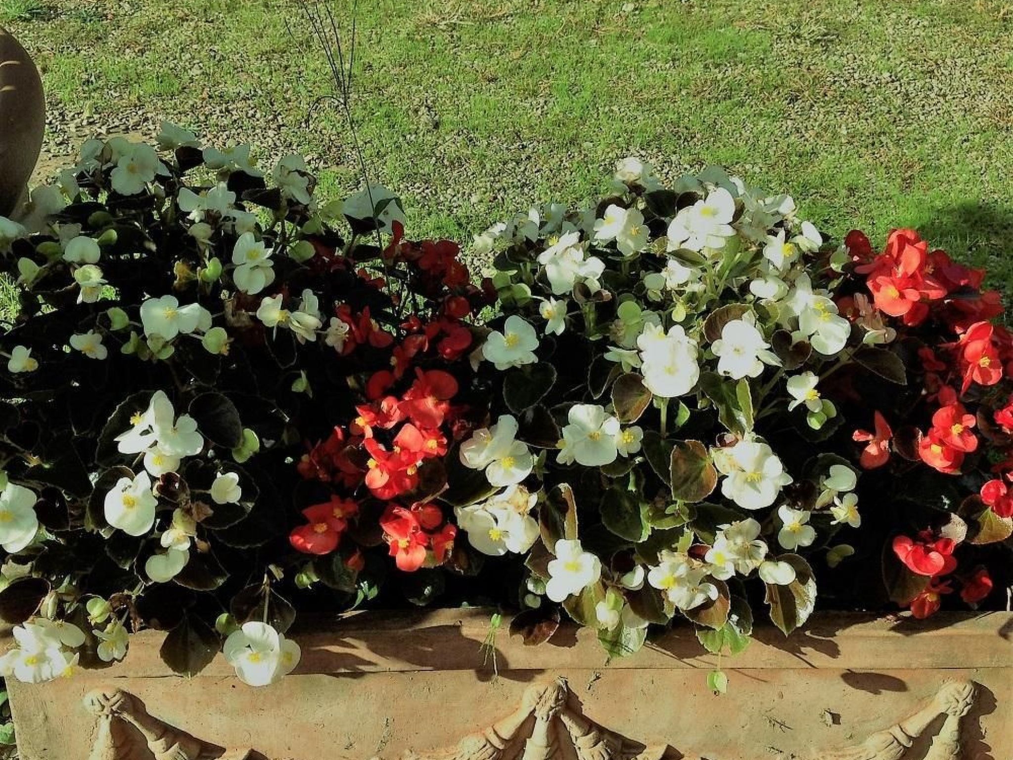 Behindertengerechtes Drei-Zimmer-Appartement, Typ E-Binnen