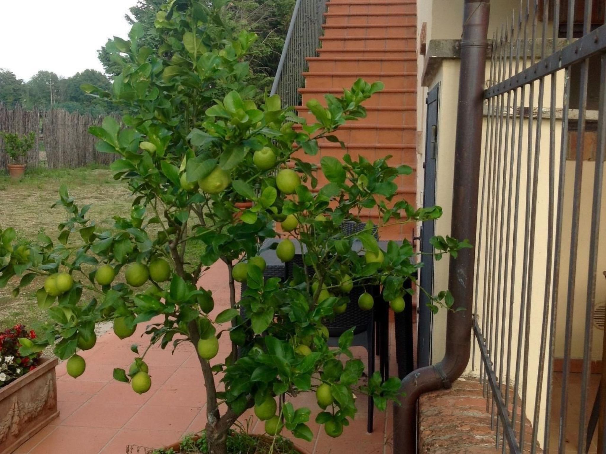 Behindertengerechtes Drei-Zimmer-Appartement, Typ E-Binnen