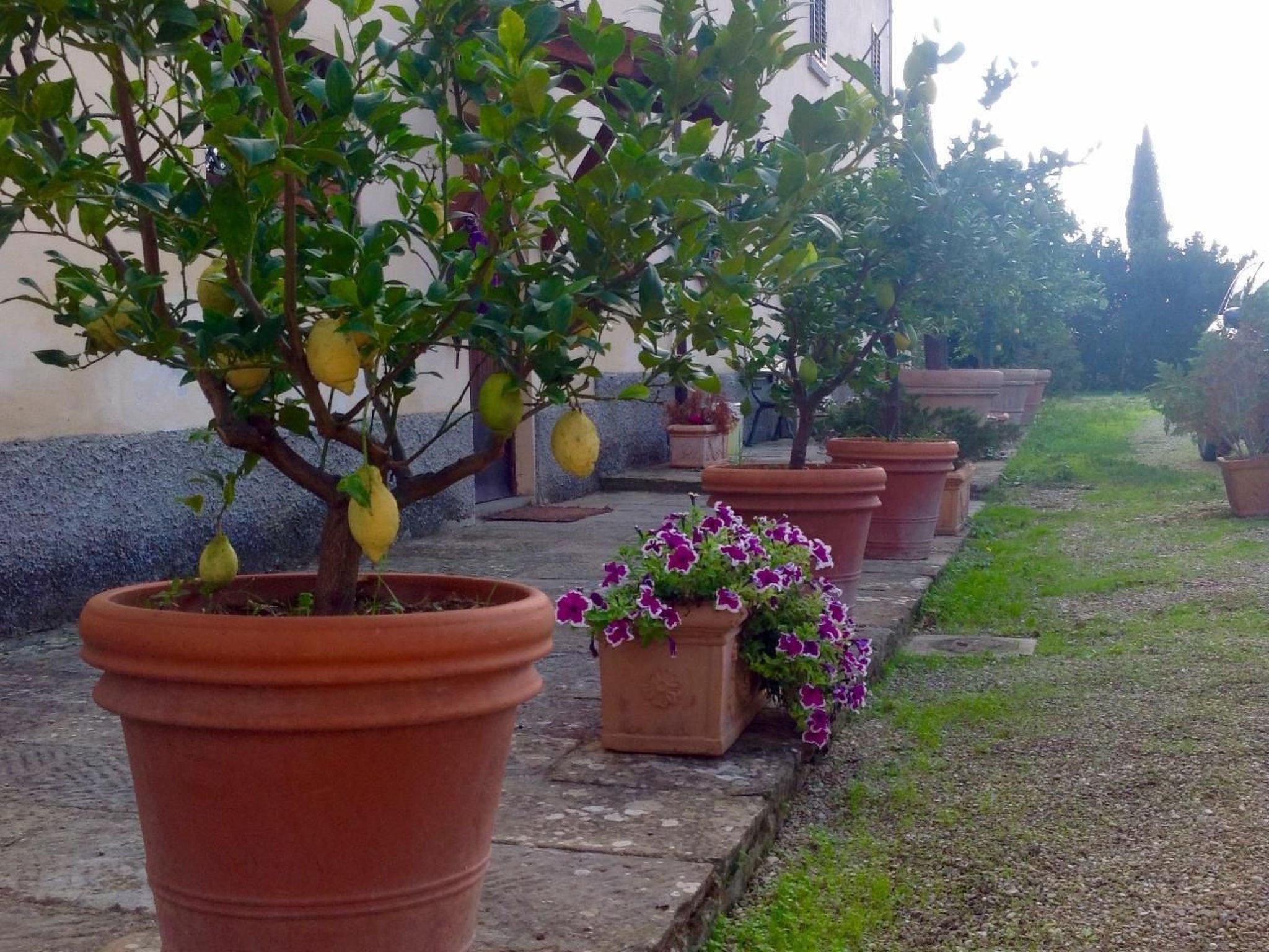 Drei-Zimmer-Wohnung in einem Bauernhaus im Zentrum der Toskana-Binnen