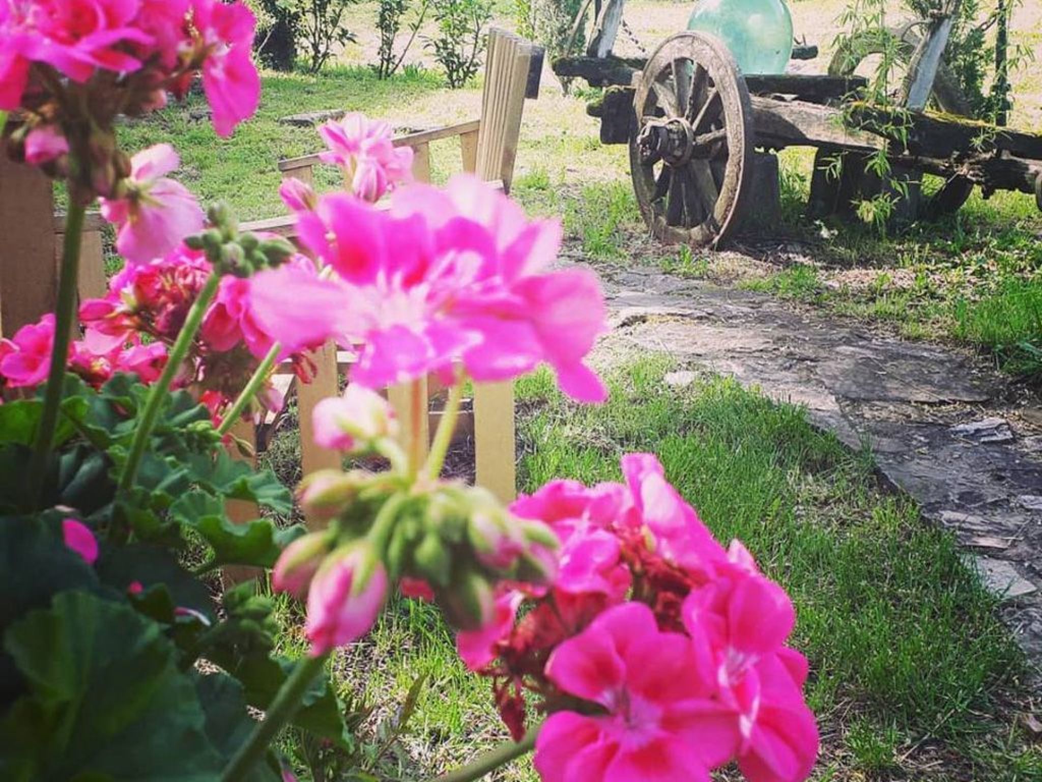 Landgut "La Tabaccaia" mit eigenem Garten und Grill-Image-tags.info