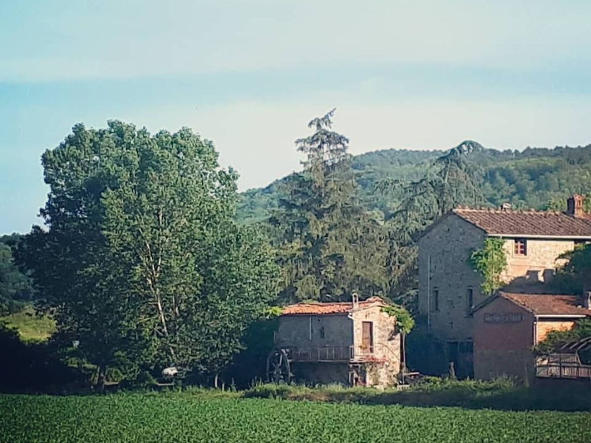 Landgut "La Tabaccaia" mit eigenem Garten und Grill-Image-tags.info