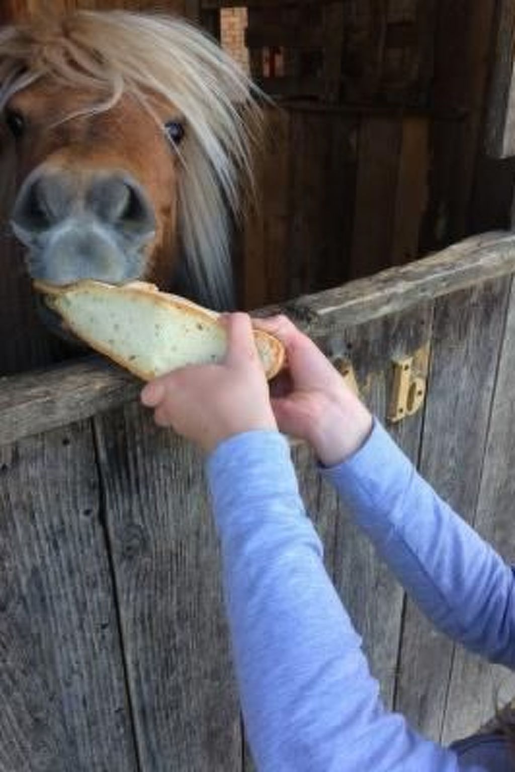 Landgut "La Tabaccaia" mit eigenem Garten und Grill-Image-tags.info