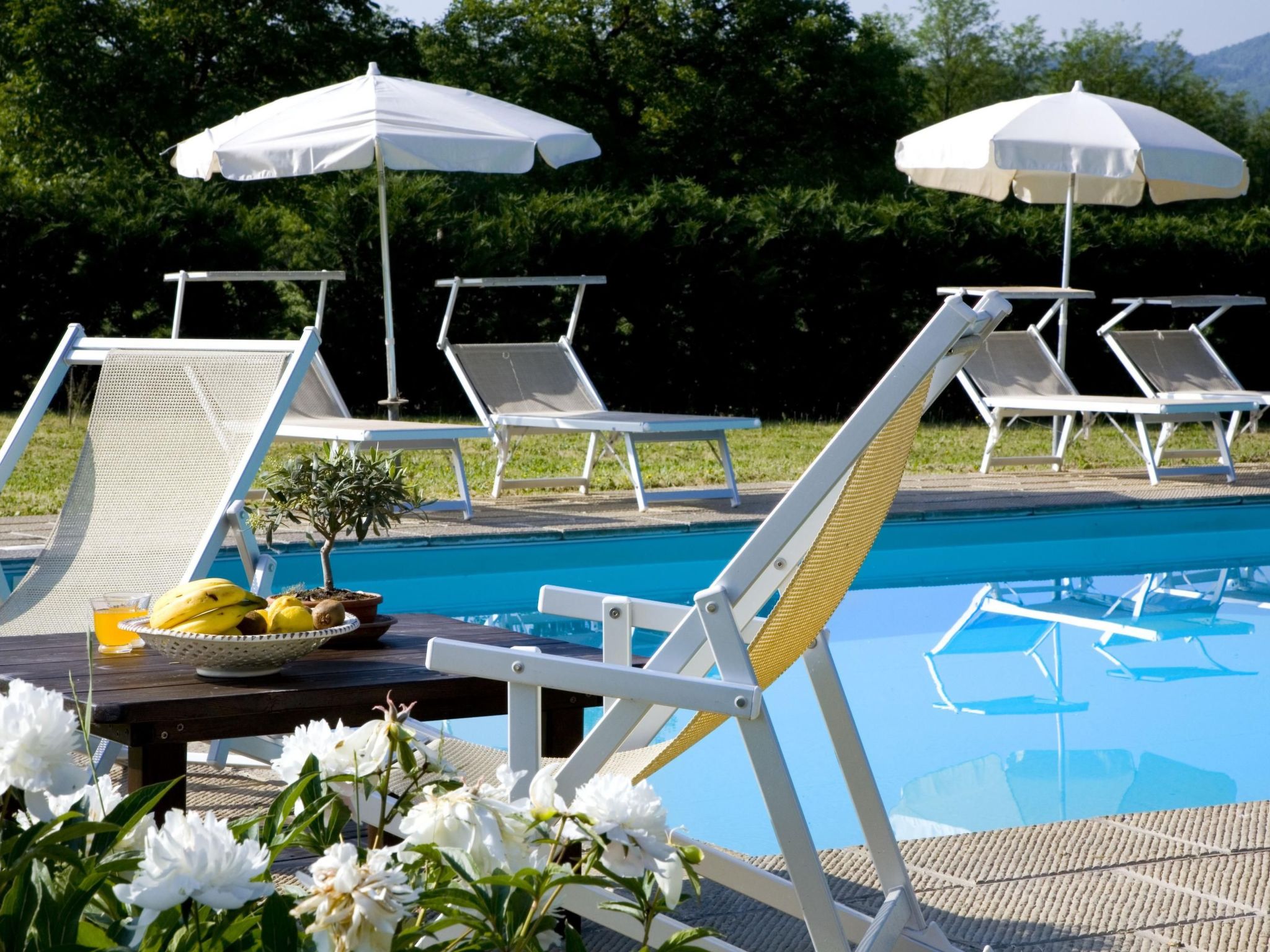 Villa Miby' Anwesen-Binnen