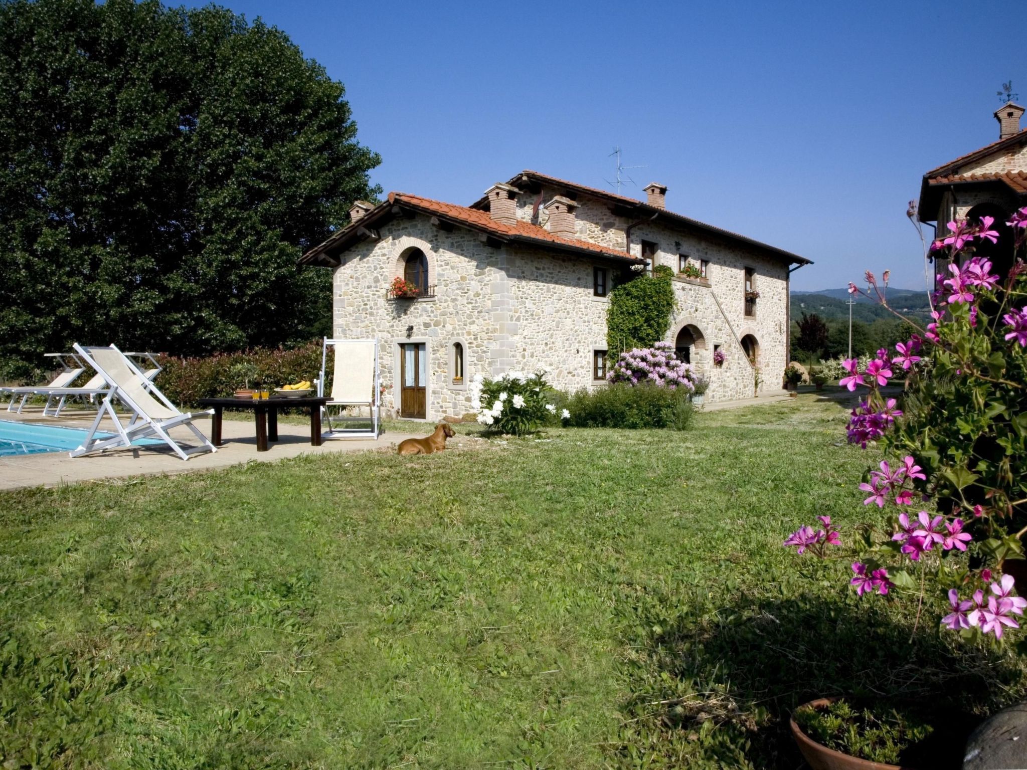 Villa Mildred-Binnen