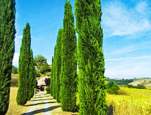 Maison Podere Agnese