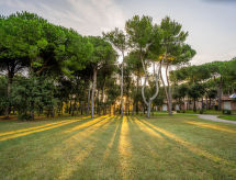 Ferienhaus Verdello