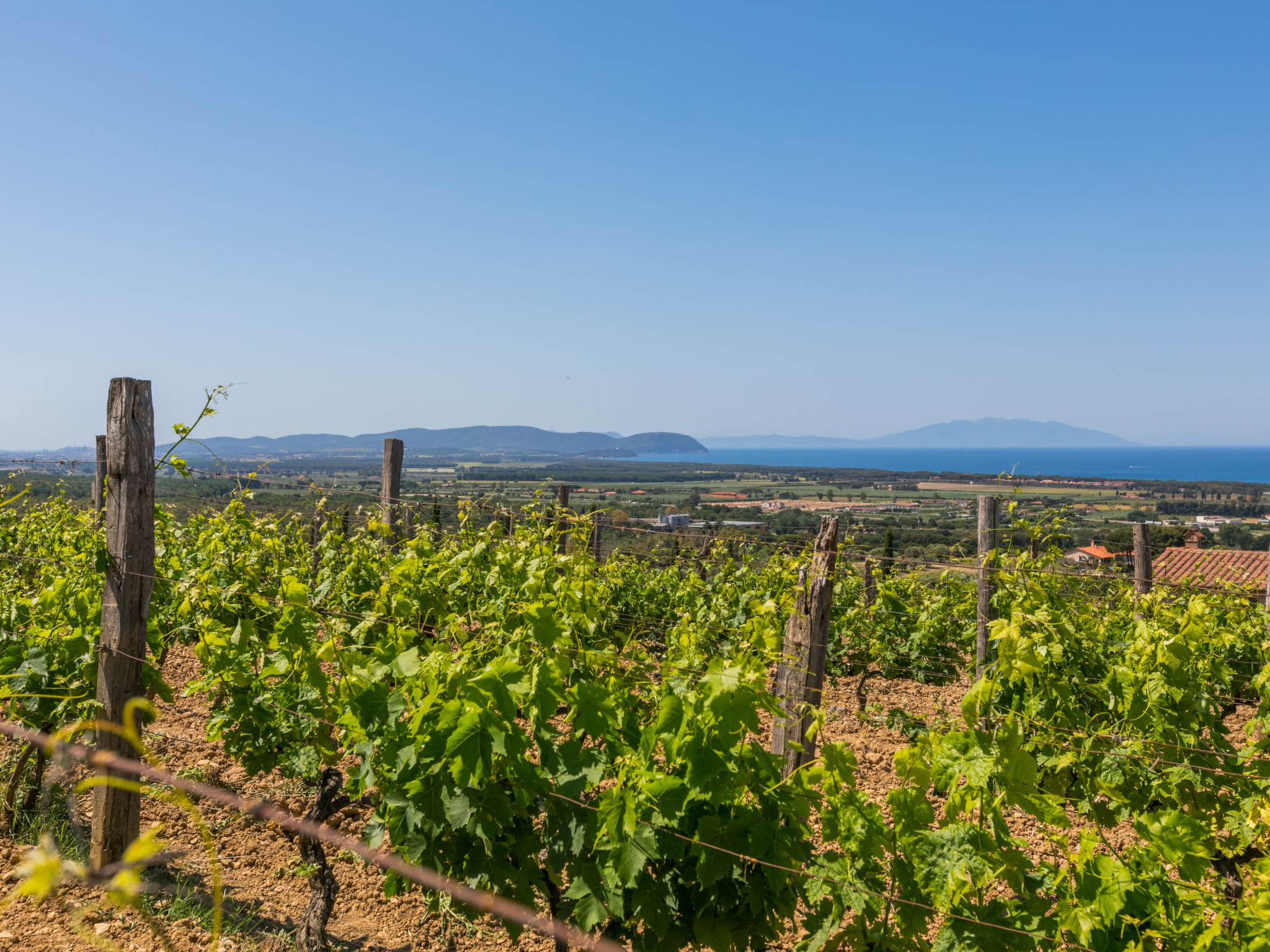 Maison Il Corbezzolo – Vue, photo 40 sur 49