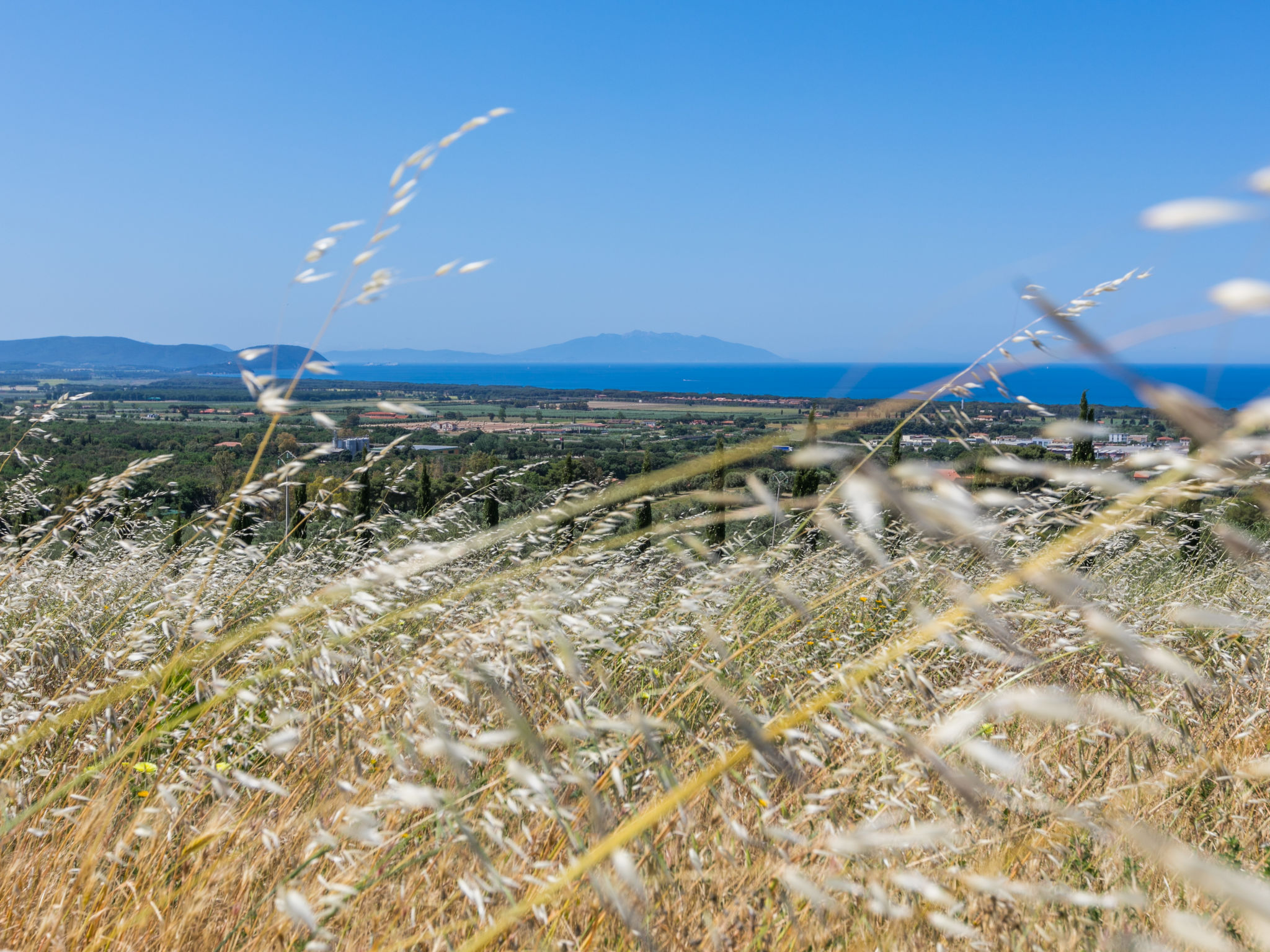Maison Il Corbezzolo – Vue, photo 41 sur 48