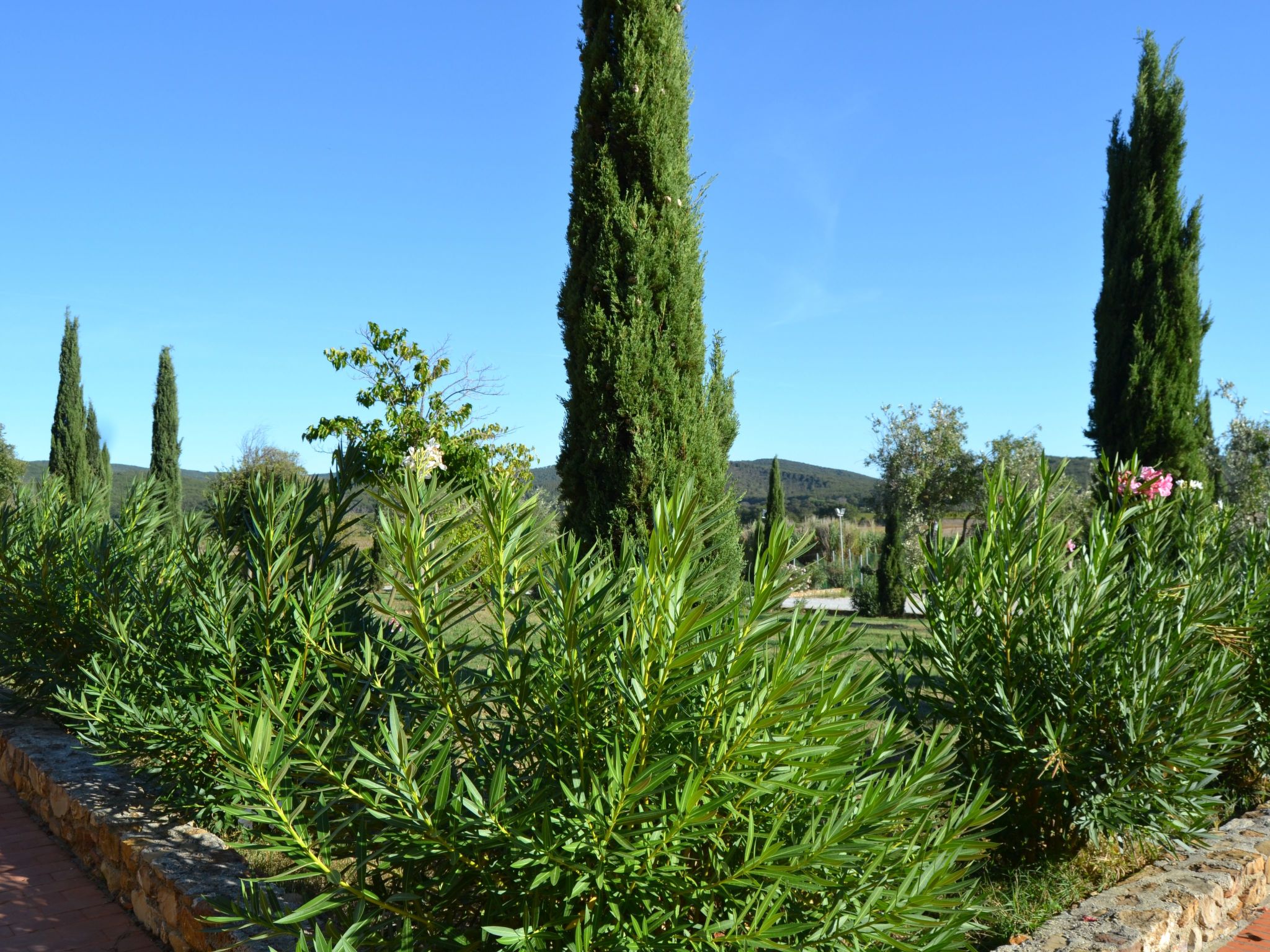Zwei-Zimmer-Wohnung mit Garten-Dedans